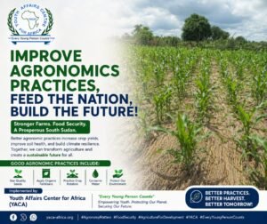 YACA- Improve agronomics practices in Kuac South Payam, Gogrial West County- Warrap State South Sudan